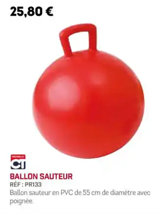 Sport 2000 BALLON SAUTEUR offre
