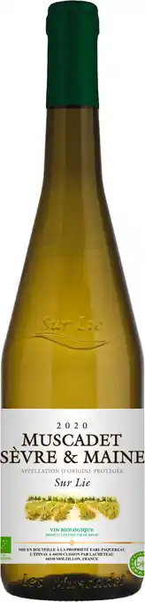 Match L'âme du terroir bio muscadet sèvre & maine sur lie aop offre