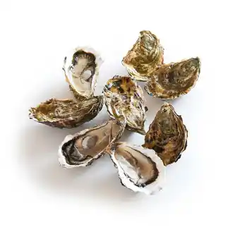 Match Huître fine de cancale n°3 offre