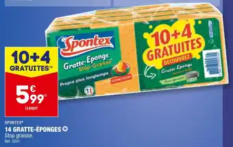 ALDI Spontex 14 gratte-éponges offre