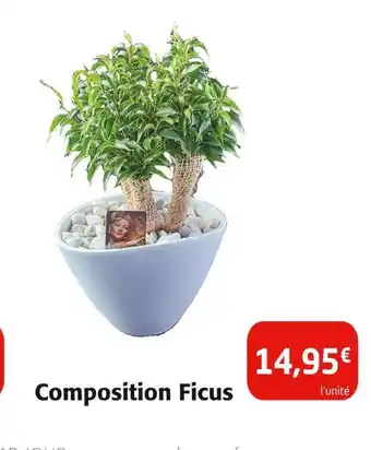 Composition ficus
