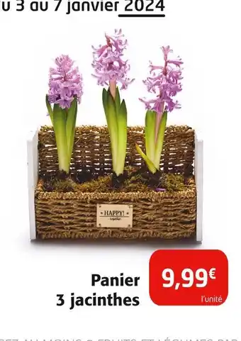 Colruyt Panier 3 jacinthes offre