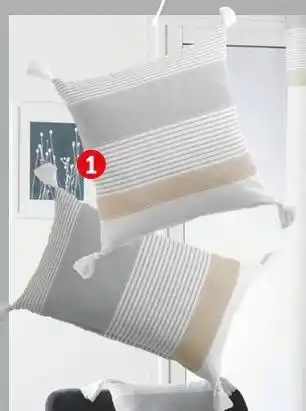 La Foir'Fouille Coussin déhoussable offre