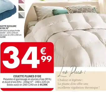 La Foir'Fouille Couette plumes d’oie offre