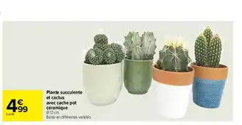 Carrefour Plante Succulente Et Cactus Avec Cache Pot Céramique offre