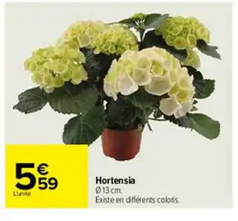 Carrefour Hortensia offre