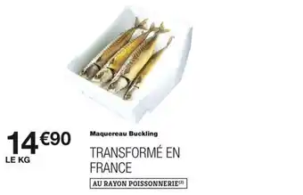 Maquereau Buckling