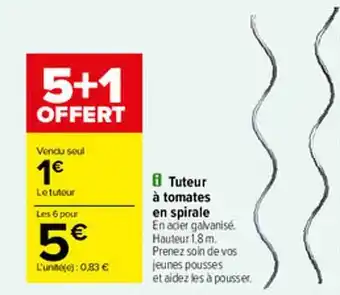 Carrefour Tuteur à Tomates En Spirale offre