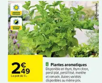 Carrefour Plantes Aromatiques offre