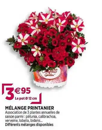 Delbard Mélange Printanier offre