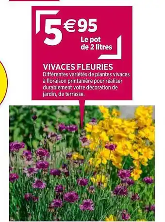 Vivaces Fleuries