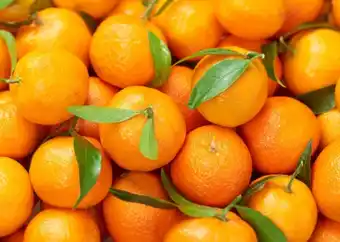 Carrefour Mandarine offre