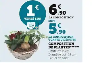 Super U Composition de plantes offre