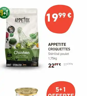 Tom&Co APPETITE CROQUETTES offre