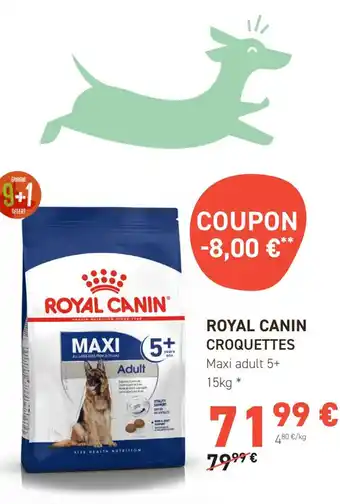 Tom&Co ROYAL CANIN CROQUETTES offre