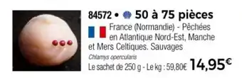 Thiriet 50 à 75 pièces offre