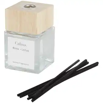 Action Action diffuseur de parfum à bâtonnets offre