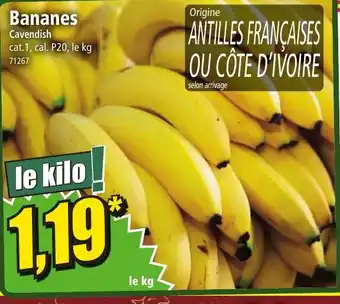 Norma Bananes offre