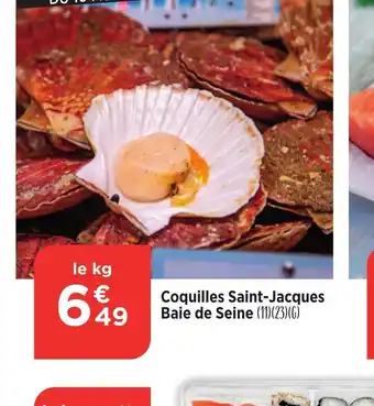 Coquilles Saint-Jacques Baie de Seine