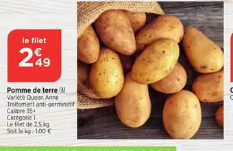 Bi1 Pomme de terre offre