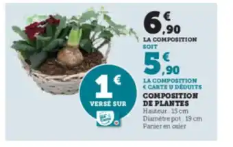 Hyper U COMPOSITION DE PLANTES offre