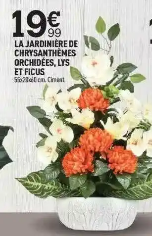 Centrakor La Jardienière De Chrysanthèmes Orchidèes, Lys Et Ficus offre