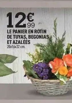Centrakor Le Panier En Rotin De Tuyas Begonias Et Azalées offre