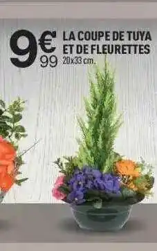 Centrakor La Coupe De Tuya Et De Fleurettes offre