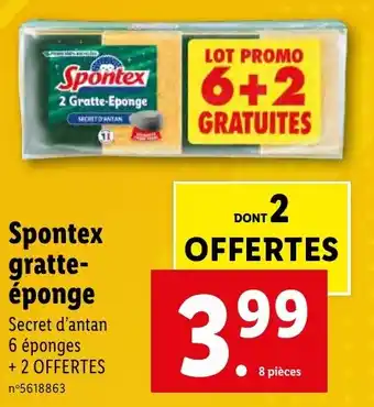 Lidl Spontex gratte- éponge offre