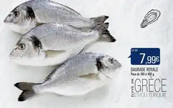 Match Daurade royale offre