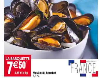 Cora x Carrefour Moules de bouchot offre