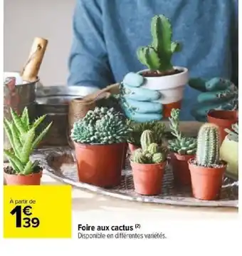 Carrefour Foire aux cactus offre