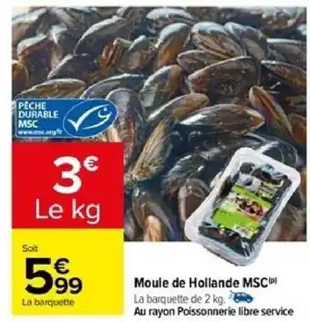 Carrefour Moule de Hollande MSC offre