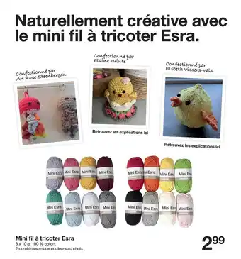 Zeeman Mini Fil à Tricoter Esra offre