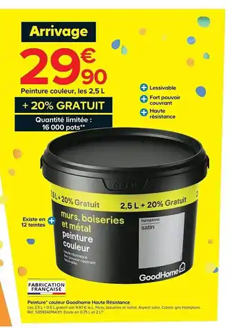Castorama Peinture Couleur Goodhome Haute Résistance offre