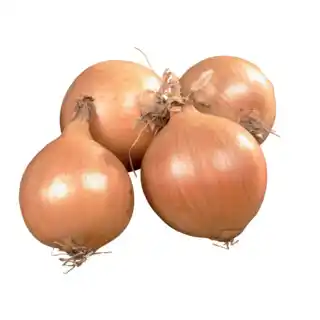Carrefour Market Oignon jaune agroécologie filiere qualite carrefour offre