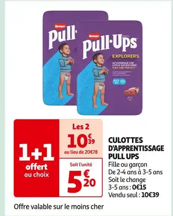 Pull ups culottes d'apprentissage