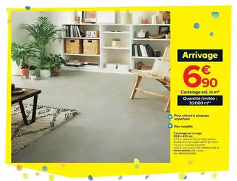 Castorama Carrelage Sol Laounge 30,8 X 61,5 Cm offre