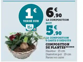 Super U COMPOSITION DE PLANTES offre