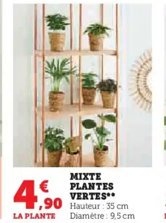 Super U MIXTE PLANTES VERTES** offre