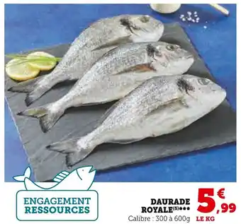 Super U DAURADE ROYALE (5) offre