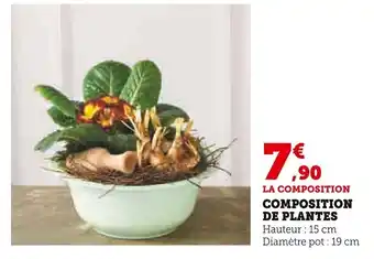 Super U COMPOSITION DE PLANTES offre