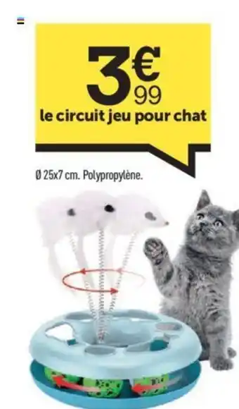 Centrakor le circuit jeu pour chat offre