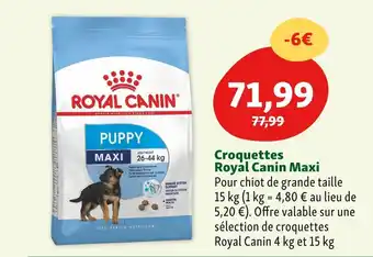 Maxi Zoo Royal canin croquettes maxi offre