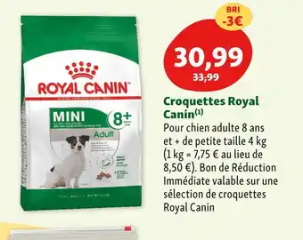 Maxi Zoo Royal canin croquettes offre