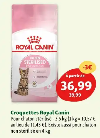 Royal canin croquettes
