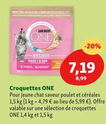 Maxi Zoo Purina croquettes one offre