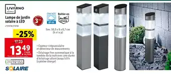Lidl Livarno lampe de jardin solaire à led offre