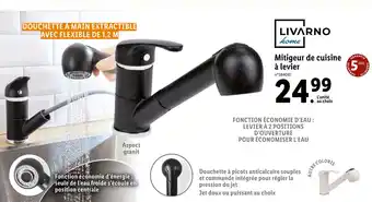 Lidl Livarno mitigeur de cuisine à levier offre