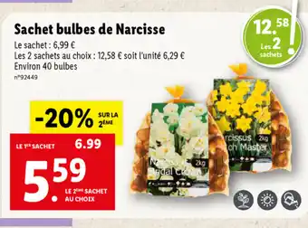 Lidl Sachet Bulbes De Narcisse offre